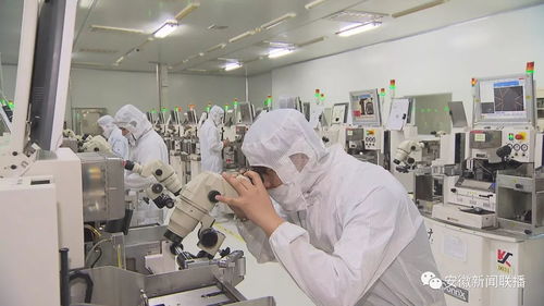 《安徽省互联网政务服务办法》正式施行，开启政务服务数字化新篇章